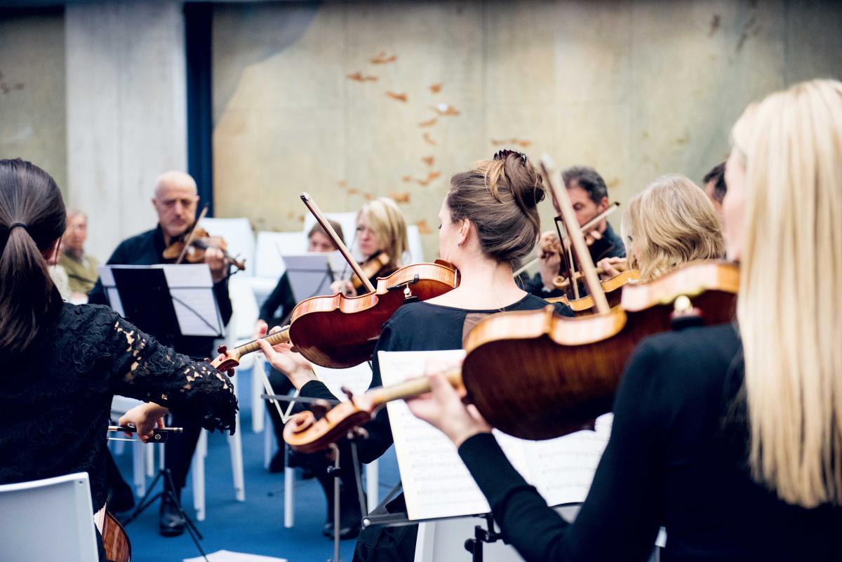 Photo des musiciens 