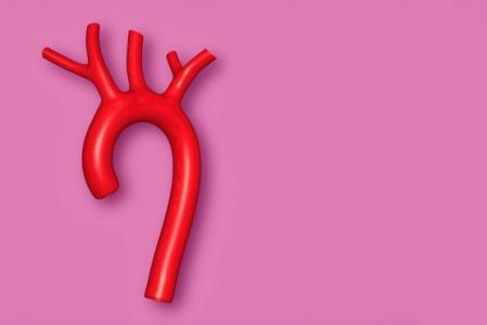 illustration aorte