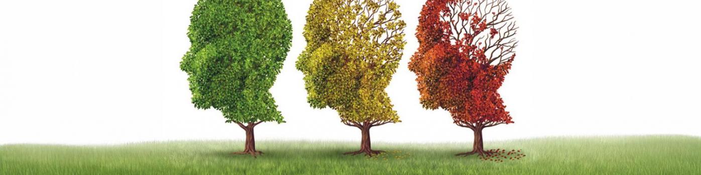 maladie d’Alzheimer 
