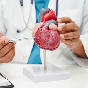 Les HUG à la pointe pour les cardiopathies congénitales