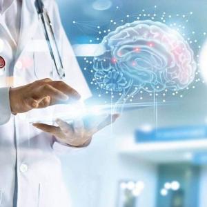 Recherches sur le cerveau