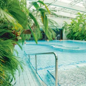 photo de la piscine des bains de cressy