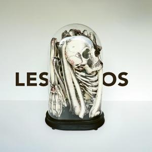Les os