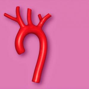 illustration aorte