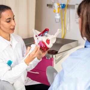 La vulve et le clitoris sans tabou