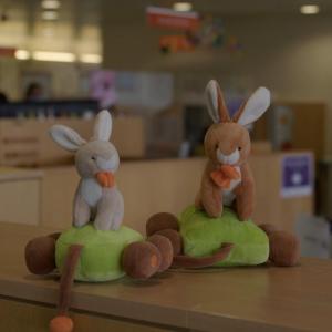 peluches à l’hôpital des enfants