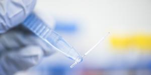 L’immunothérapie, arme du futur
