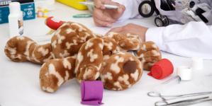 Les patients sont des nounours