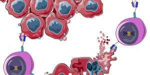 illsutration CAR-T cells