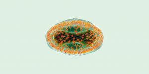 virus variole du singe