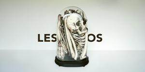 Les os