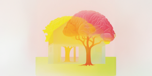 illustration : Centre Synapsy