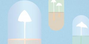 illustration article : psychédéliques