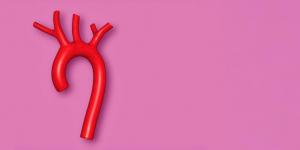 illustration aorte